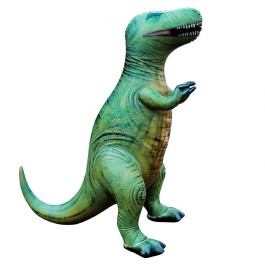 dinosaur pool raft