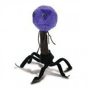 Bacteriophage plush outlet