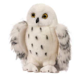wizard snowy owl