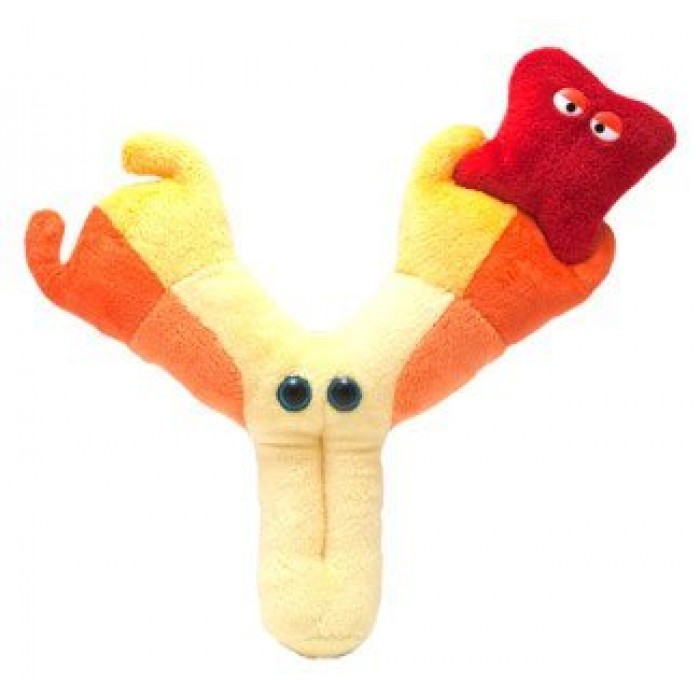 antibody plush