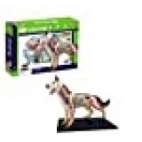 Tedco 4D Vision Dog Anatomy Model