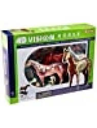 Tedco 4D Vision Horse Model