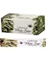 Kheops International Green Tree Incense Stick 12 x 15gr (White sage)