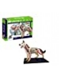 Tedco 4D Vision Dog Anatomy Model