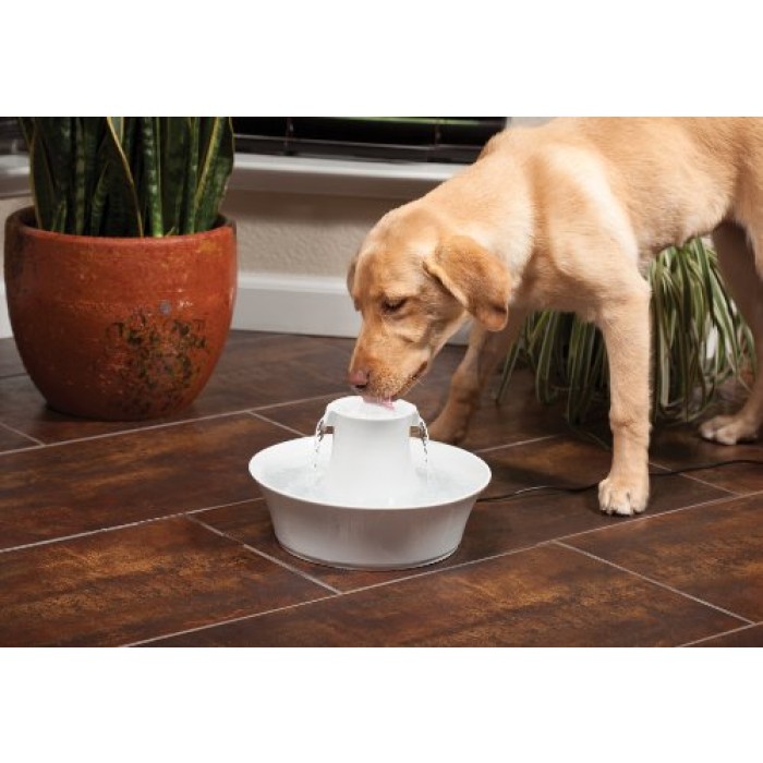 GeeksHive PetSafe Drinkwell Ceramic Avalon Fountain for Pets Bowls Feeding & Watering