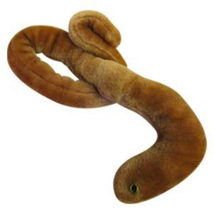 ebola plush toy