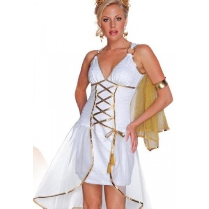 GeeksHive: Secret Wishes Women's Grecian Goddess Adult Costume - Large ...