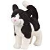 Douglas Scooter Black & White Cat