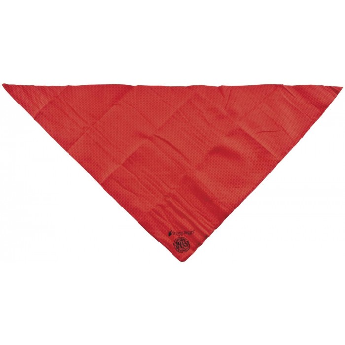 GeeksHive: Frogg Toggs Chilly Dana Cooling Bandana - Red - Towels ...